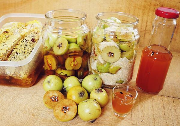 Phân phối sỉ lẻ rượu táo mèo sạch