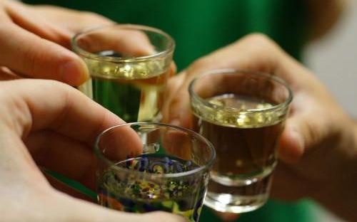 phân phối rượu táo mèo sạch cho cửa hàng