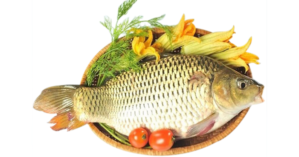 tác dụng của cá chép với bà bầu