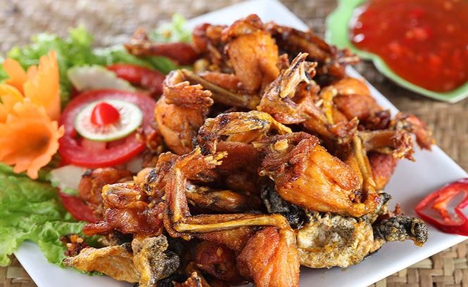 tác dụng của thịt ếch