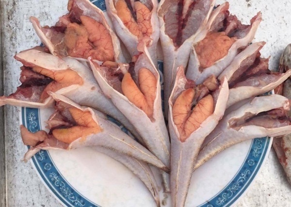 Đặc sản Cá Chai Trứng - 200k/kg