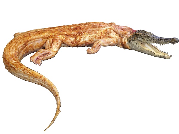 Cá Sấu Nguyên Con - 100k/kg