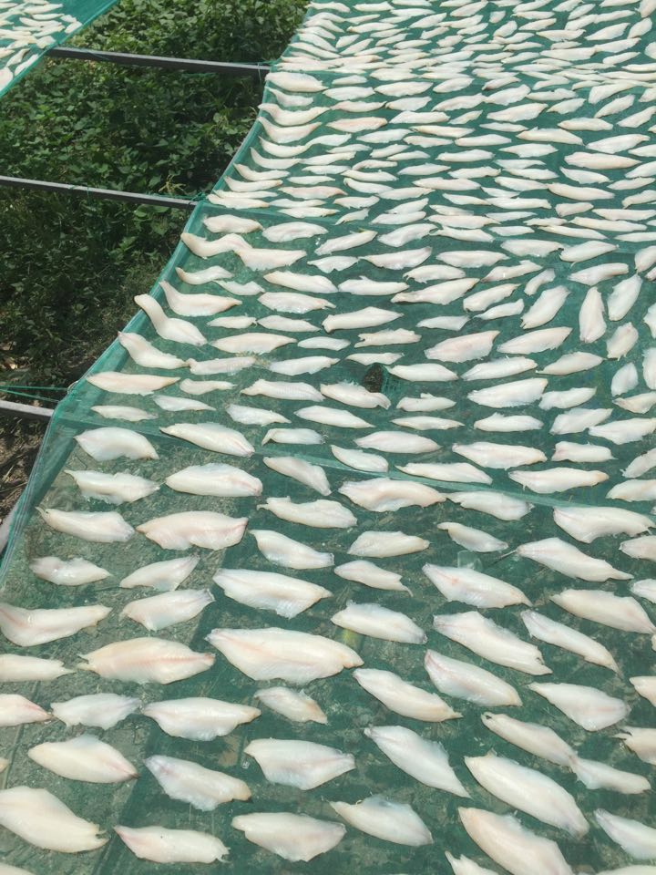 Cá rô phi  được phơi trên vĩ cước có mùng chống ruồi nên quý khách hoàn toàn có thể yên tâm về chất lượng sản phẩm.