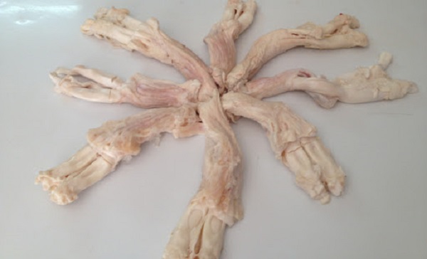 Mua gân bò chữ Y cao cấp ở đâu