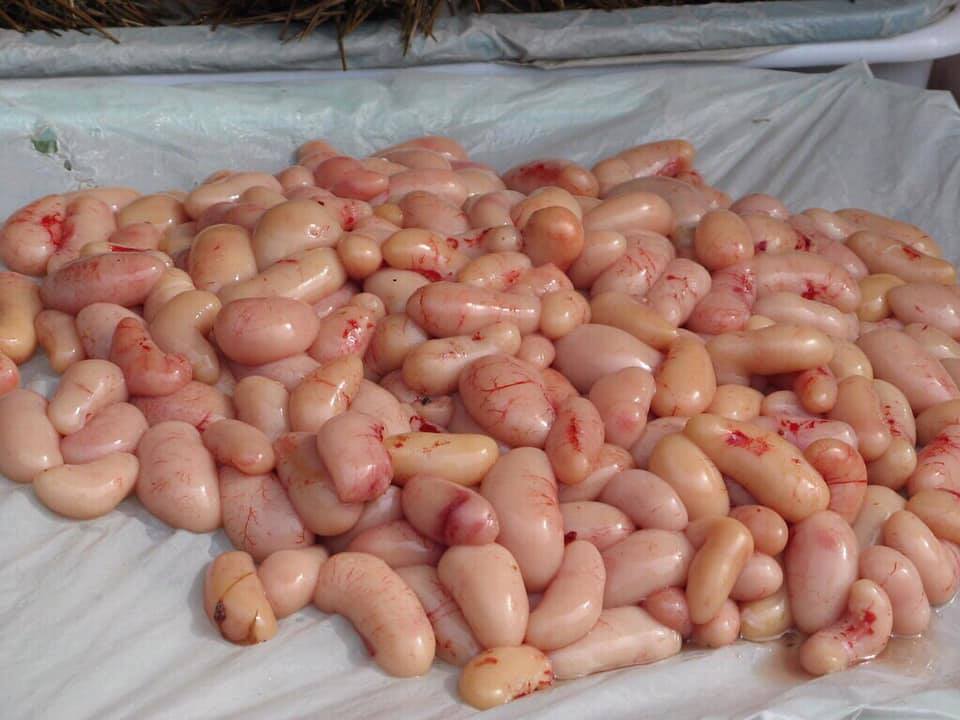 kê gà luôn được chị em đặc biệt quan tâm đặt mua về tẩm bổ cho chồng. kê gà luôn được chị em đặc biệt quan tâm đặt mua về tẩm bổ cho chồng.