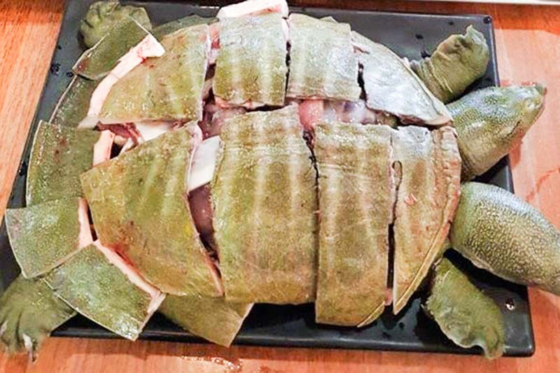 Thành phần dinh dưỡng của thịt ba ba