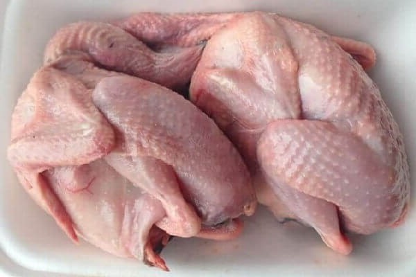 Đôi nét về chim bồ câu