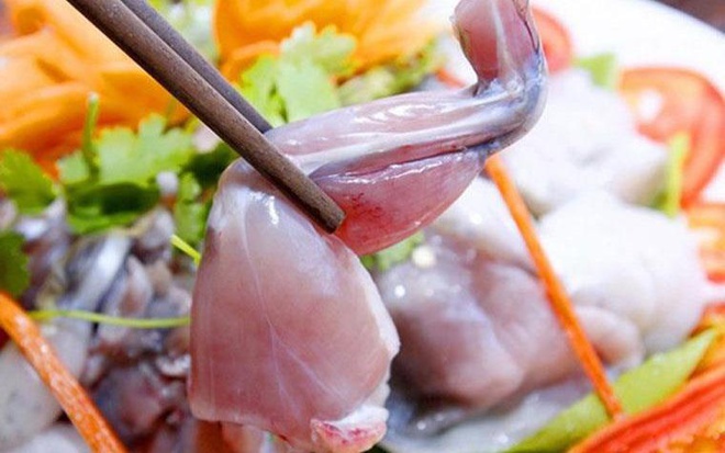 Ăn thịt cóc thế nào để tránh ngộ độc?