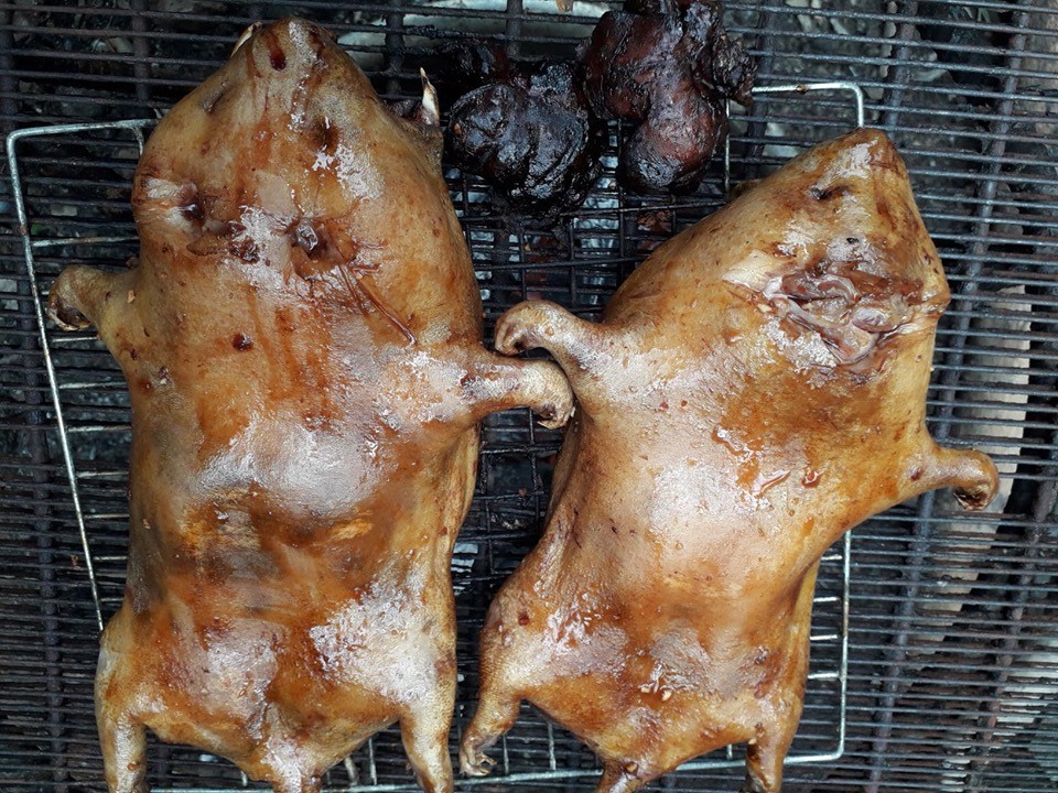 thịt dúi thui sẵn