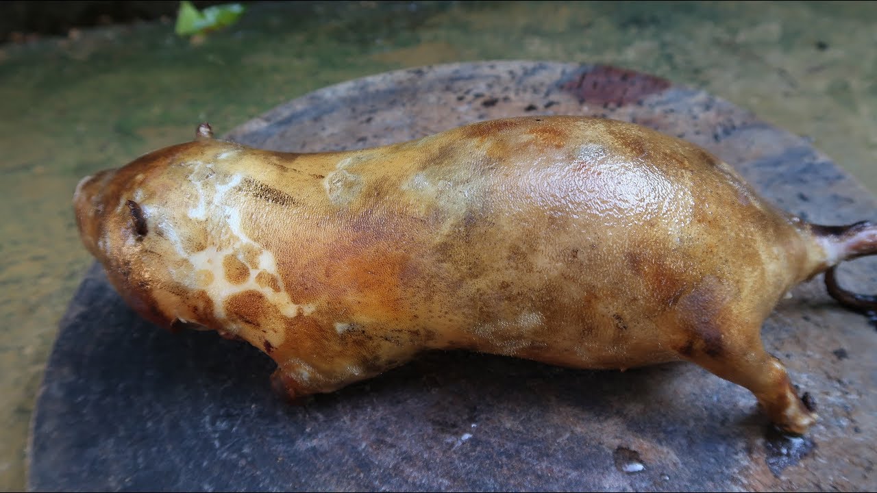 Thịt dúi thui sẵn