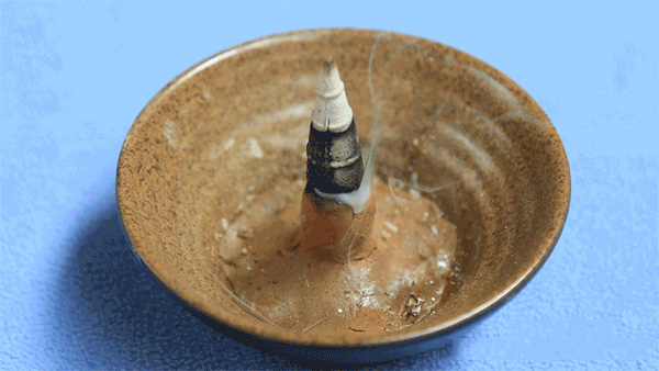 Hướng dẫn sử dụng viên nụ bồ kết