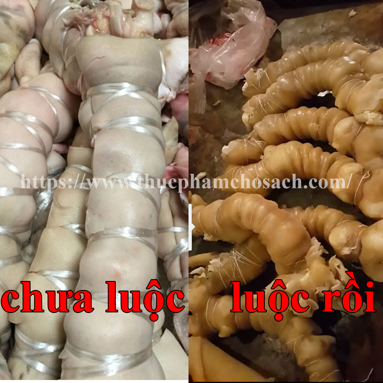 Vó bò luộc sẵn 
