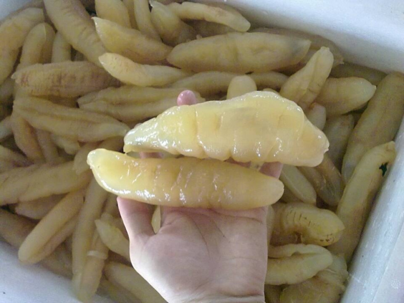 Hải sâm tươi trắng ngon