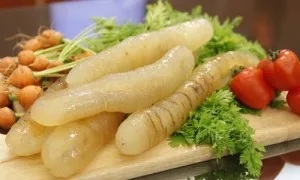 Hải sâm tươi trắng 