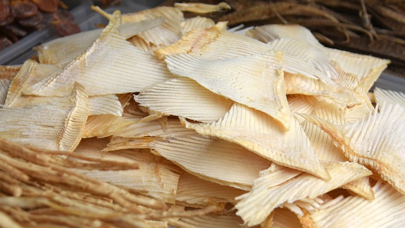 Vi cá mập nguyên vi