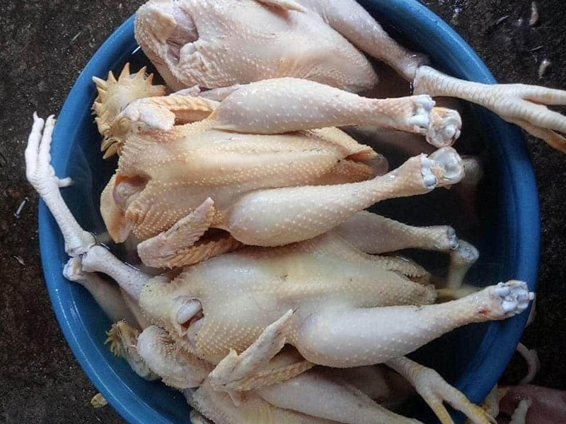 Ăn thịt gà trống hay thịt gà mái ngon hơn?