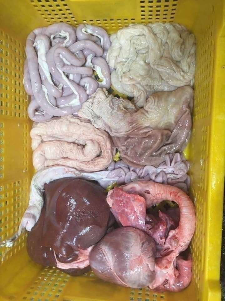 Bộ lòng heo bao gồm những gì?