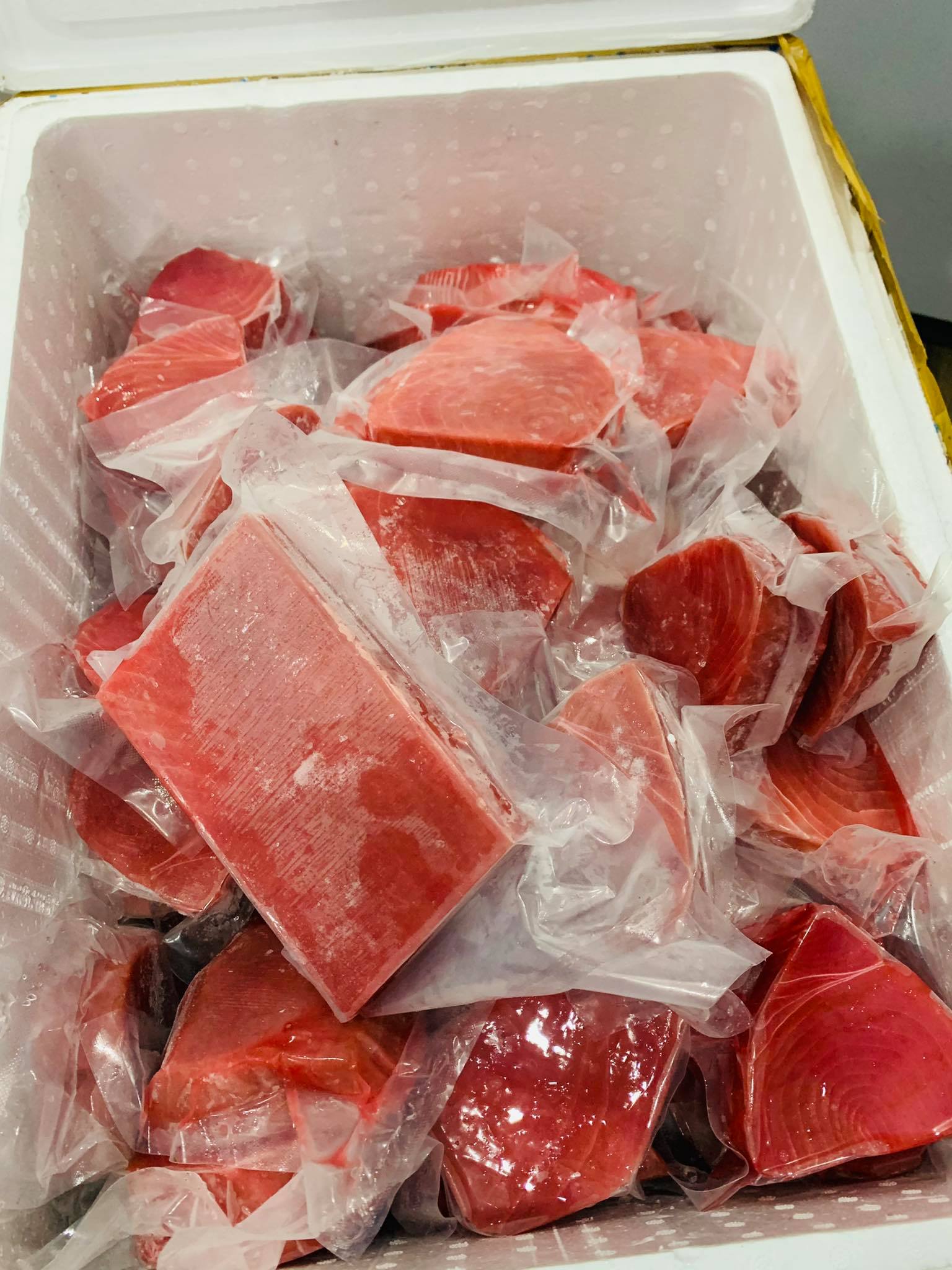 cá ngừ đại dương