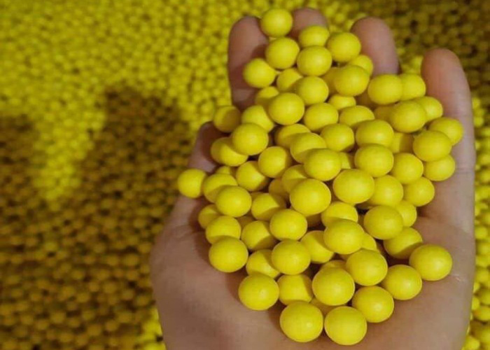 Nghệ viên mật ong - 500k/kg