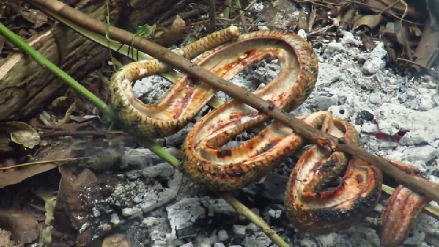 Rắn nướng chấm muối ớt