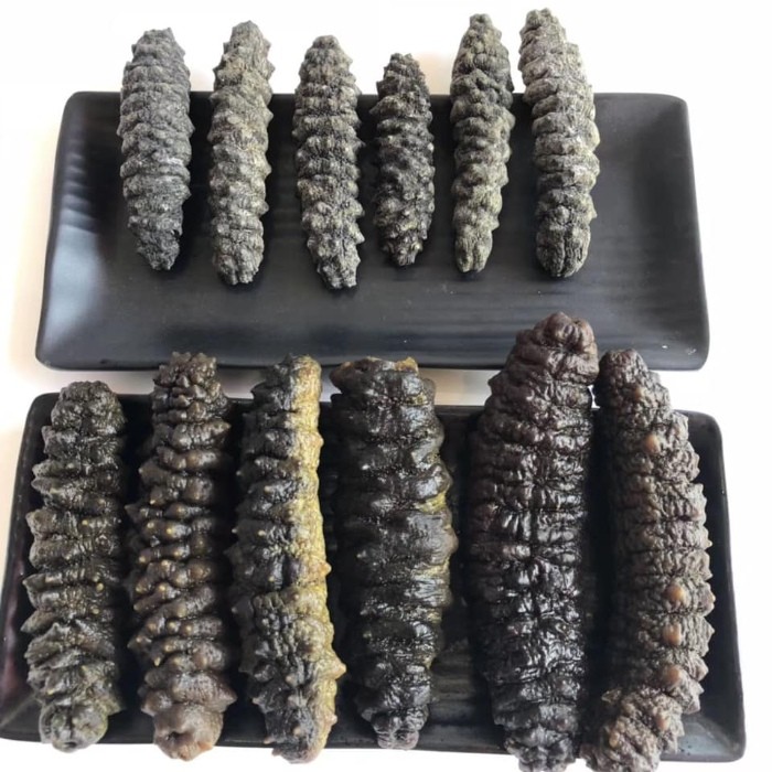 Địa chỉ mua hải sâm đen gai khô chất lượng