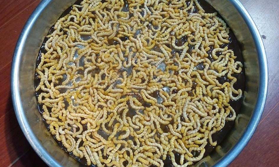 Sâu chít 1.8tr/1kg