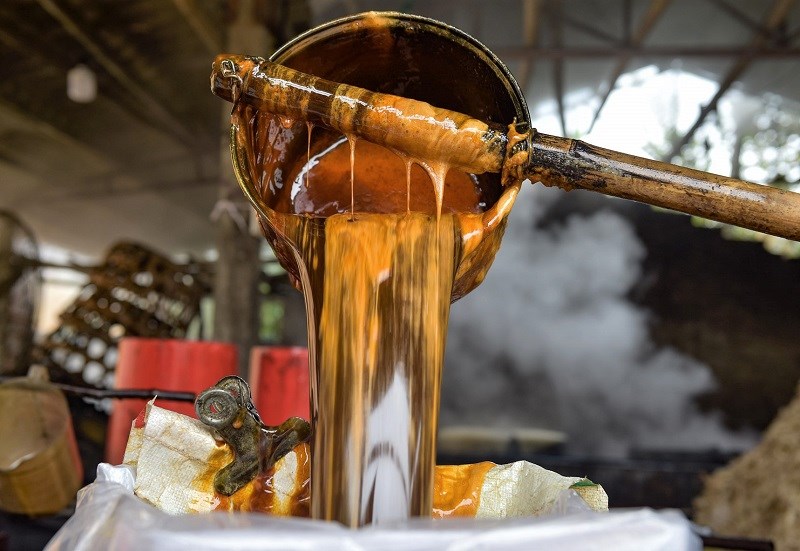 Giới thiệu về sản phẩm mật mía nguyên chất