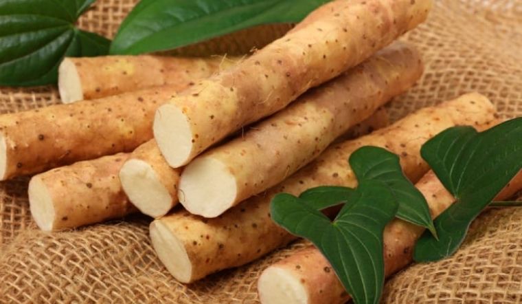 Củ mài Hoài Sơn - 90k/kg