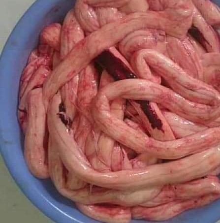 Tủy bò tươi sạch - 400k/kg