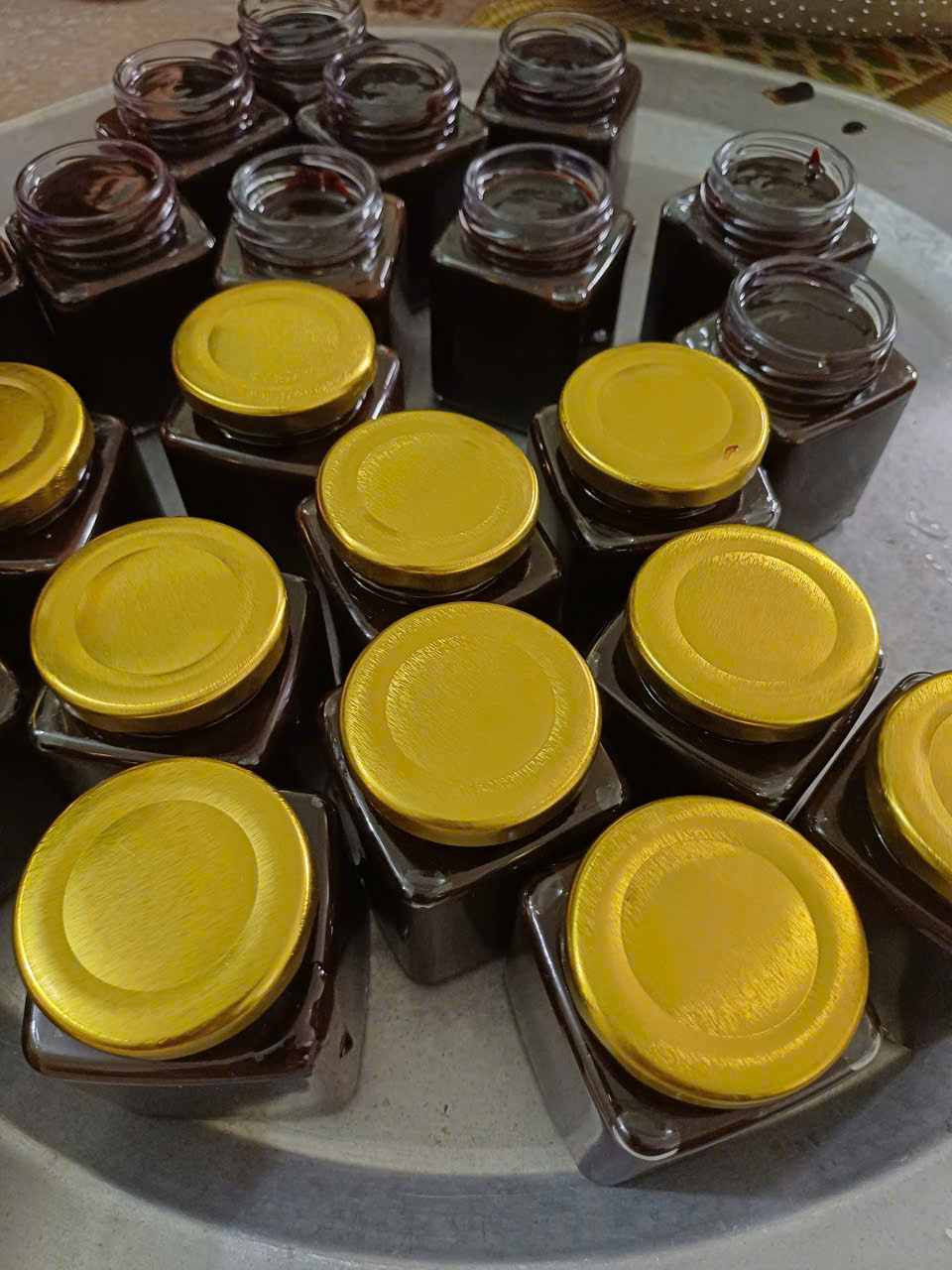 gioi thieu ve cao trau co