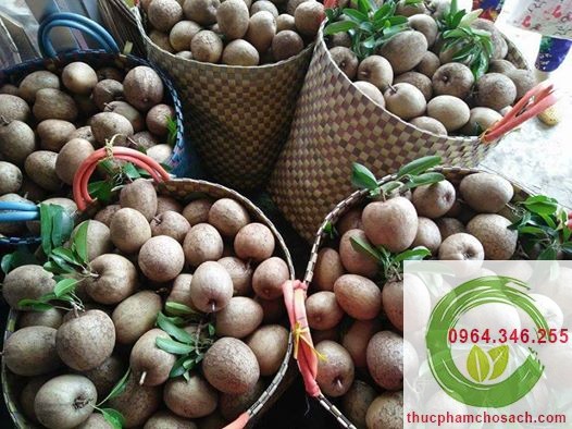 Hồng Xiêm Tiền Giang - 80k/kg