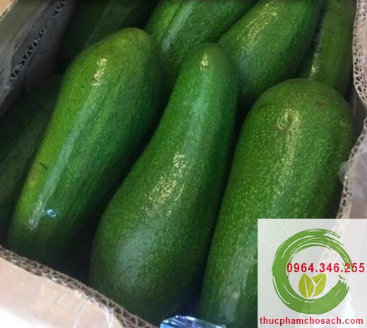 Bơ sạch Lai Châu - 80k/kg