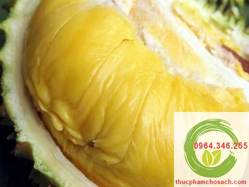 cửa hàng bán sầu riêng mong thon