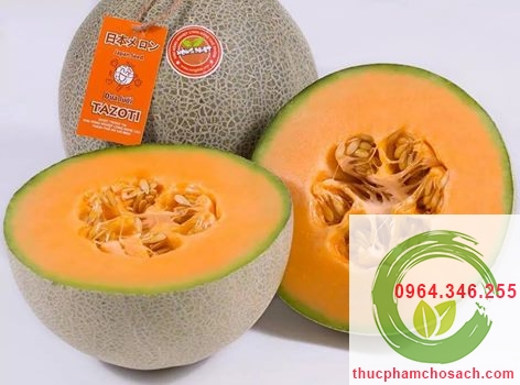 dưa lưới taki nhật bản