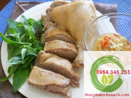 thịt vịt húng láng