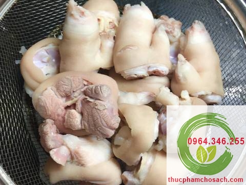 cửa hàng bán móng giò lợn sạch