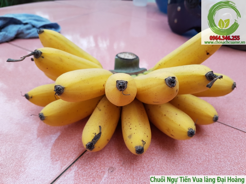 nải chuối ngự chín