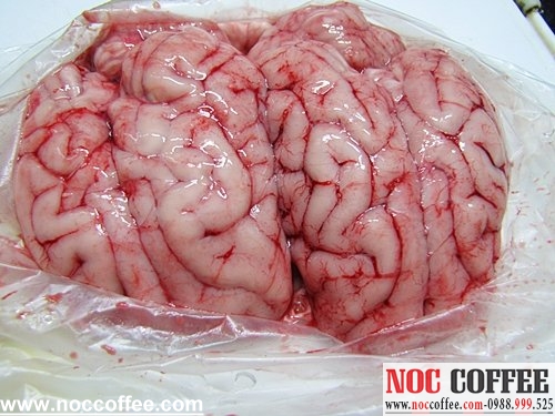 cửa hàng bán óc lợn sạch