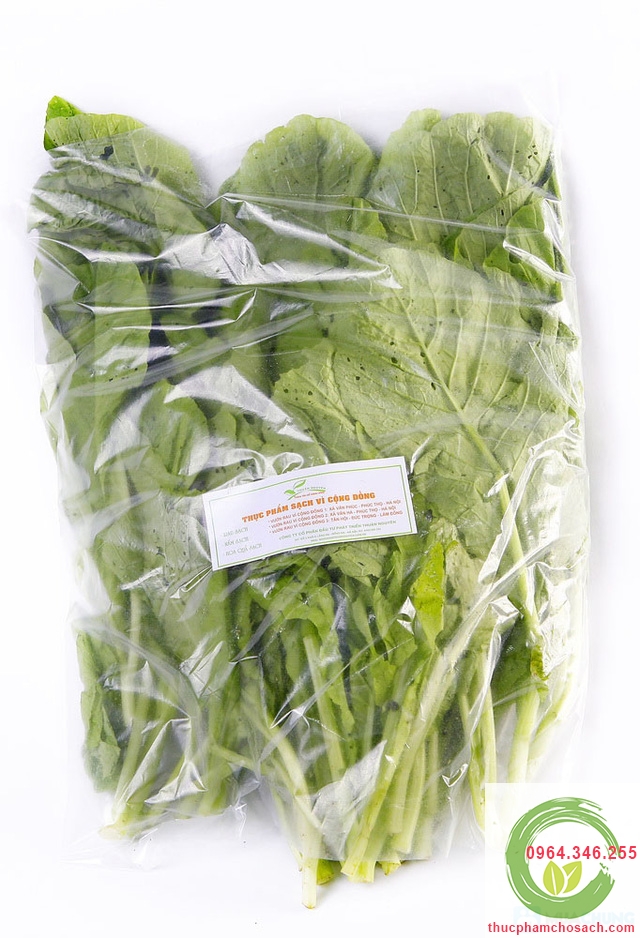 thực phẩm sạch rau cải ngọt