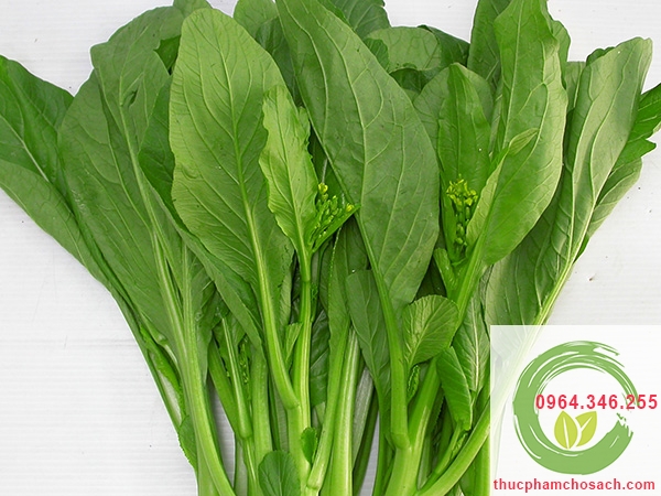 Rau cải ngọt - 25k/kg