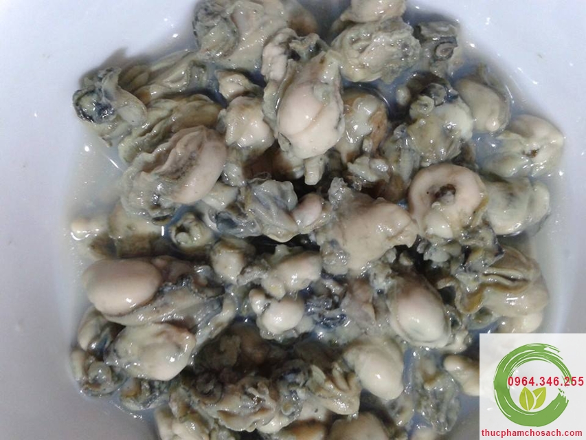 Hà biển Cát Bà - 200k/kg