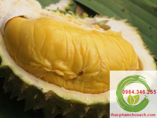 sau rieng mong thon sầu riêng mong thon