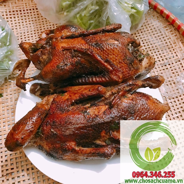 vịt trời nướng nguyên con