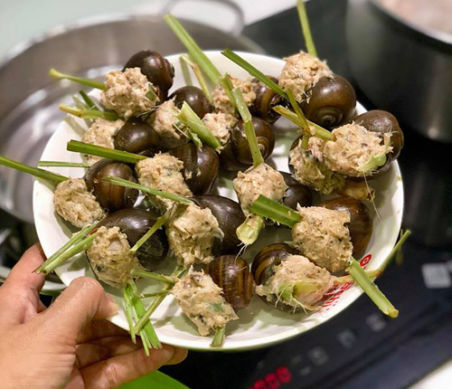 cha oc nhoi cho sach