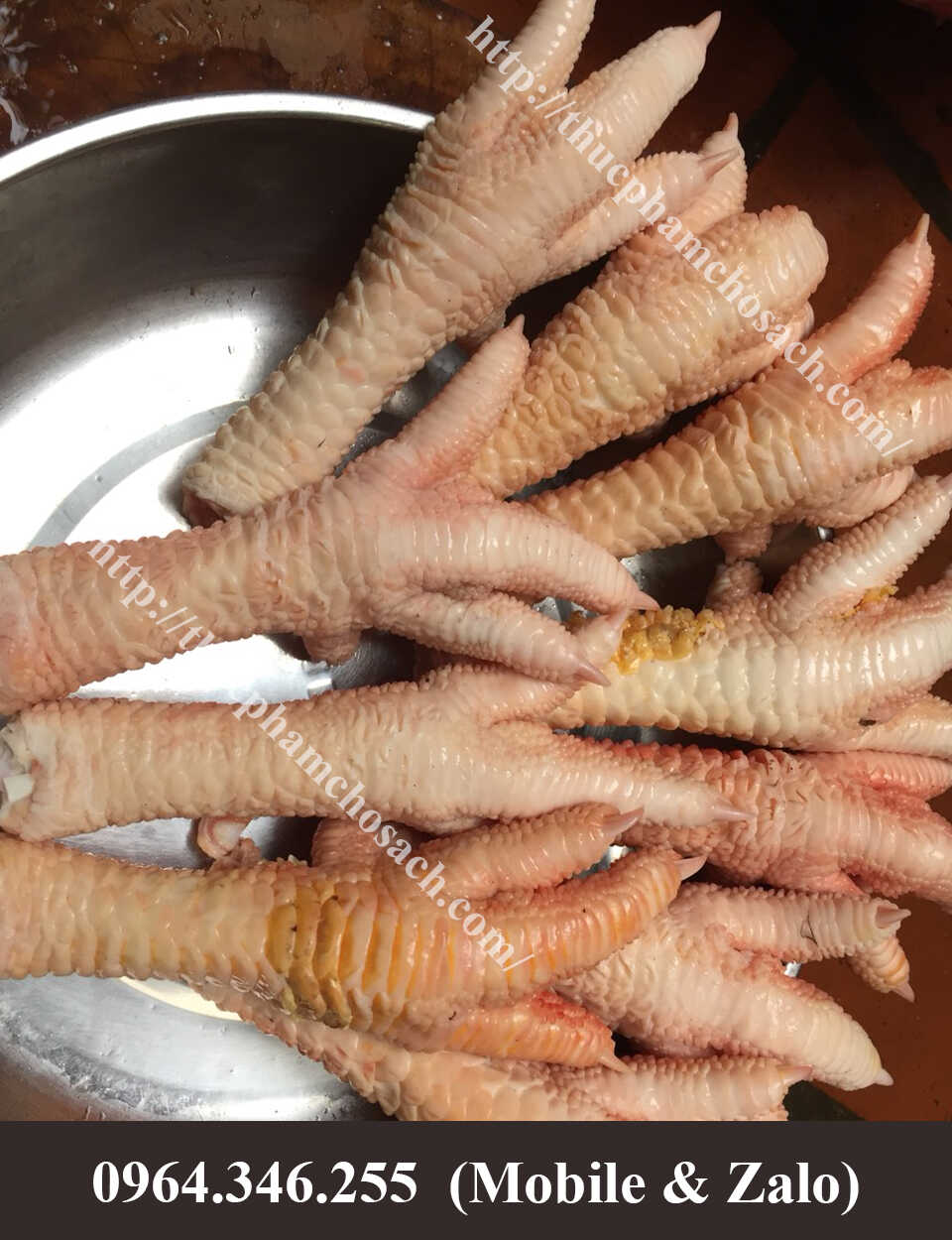 Địa Chỉ Mua Chân Gà Đông Tảo Xịn ở  Hà Nội và Sài Gòn?