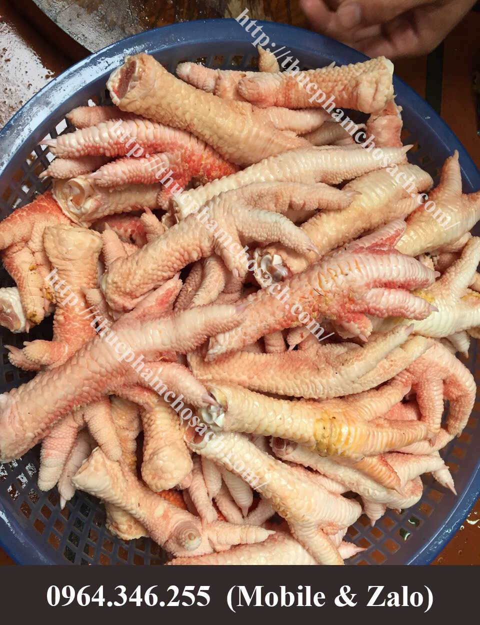 Chân Gà Đông Tảo Loại To ( 10C/kg )  -  450k/kg 