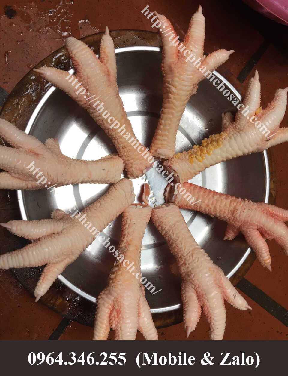 Chân gà Đông Tảo ăn ngon nhất trong các loại chân gà, chân càng to thì ăn càng ngon