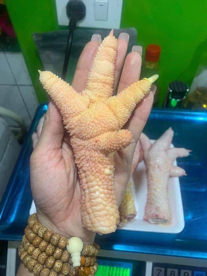 chân gà đông tảo