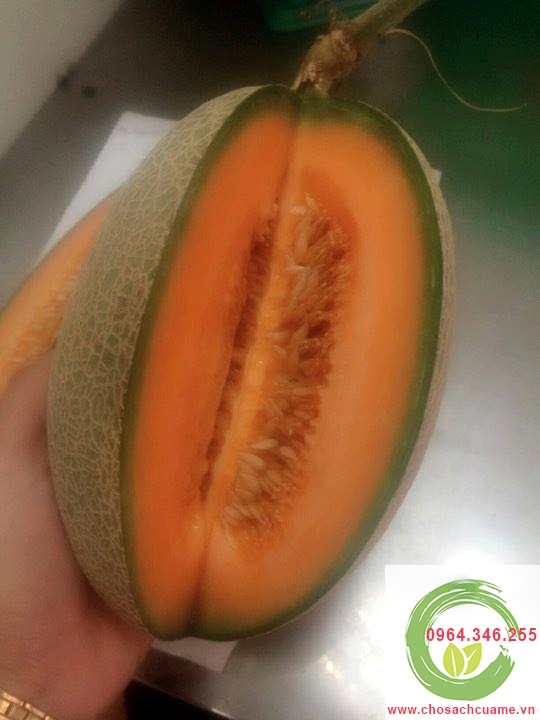 cửa hàng bán dưa lưới hà nội