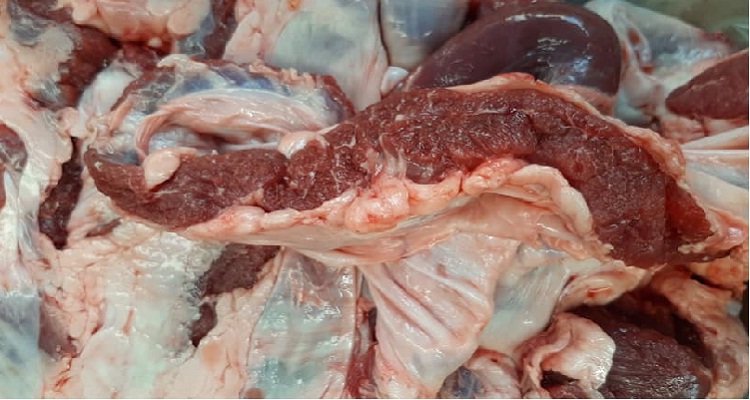 Giới thiệu về thịt dải